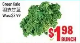 FreshLand Supermarket Green Kale offer
