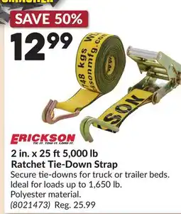 Princess Auto ERICKSON 2 in. x 25 ft 5,000 lb Ratchet Tie-Down Strap offer