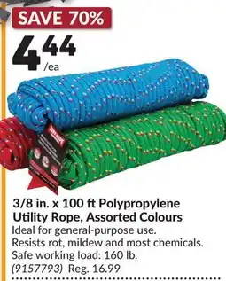 Princess Auto 3/8 in. x 100 ftPolypropylene Utility Rope, Assorted Colours offer