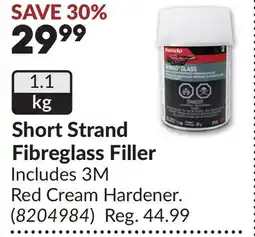 Princess Auto Short Strand Fibreglass Filler offer