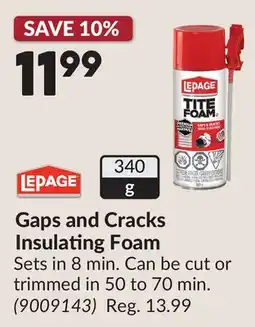 Princess Auto Gaps and Cracks Insulating Foam offer