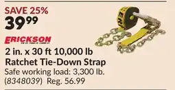 Princess Auto 2 in. x 30 ft10,000 lb Ratchet Tie-Down Strap offer