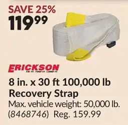 Princess Auto 8 in. x 30 ft 100,000 lb Recovery Strap offer