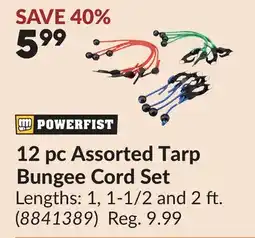 Princess Auto 12 pc Assorted Tarp Bungee Cord Set offer