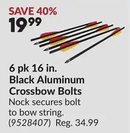 Princess Auto 6 pk 16 in. Black Aluminum Crossbow Bolts offer