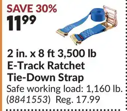 Princess Auto 2 in. x 8 ft 3,500 lb E-Track Ratchet Tie-Down Strap offer