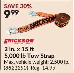 Princess Auto 2 in. x 15 ft 5,000 lb Tow Strap offer
