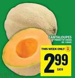 Food Basics Cantaloupes offer