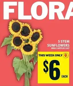 Food Basics Flora 5 stem sunflowers offer
