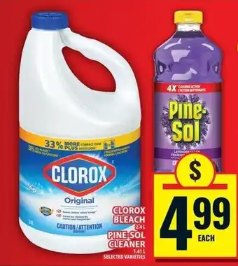 Food Basics Clorox bleach pine sol cleaner offer