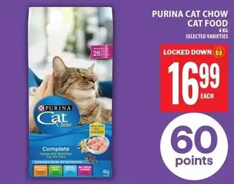 Food Basics Purina cat chow cat food offer