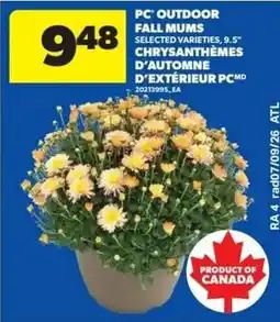 Real Canadian Superstore PC fall mums offer