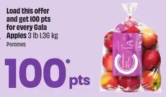 FreshCo Gala Apples offer