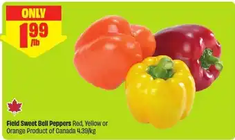 FreshCo Field Sweet Bell Peppers offer