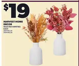 Loblaws HARVEST HOME DECOR, EACH offer