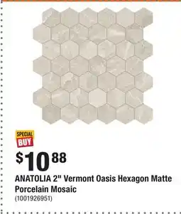 Home Depot ANATOLIA 2 Vermont Oasis Hexagon Matte Porcelain Mosaic offer