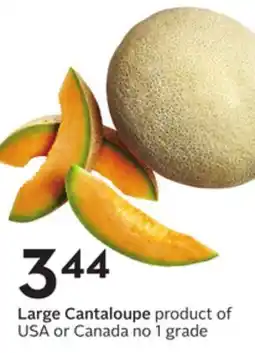 Sobeys Large Cantaloupe offer