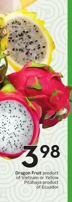 Sobeys Dragon Fruit product of Vietnam or Yellow Pitahaya product of Ecuador offer