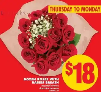 No Frills Dozen Roses With Babies Breath offer