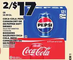 Independent City Market COCA-COLA, PEPSI, CANADA DRY OR DR PEPPER SOFT DRINKS offer