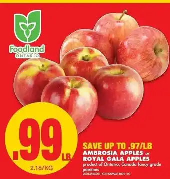 No Frills Ambrosia Apples offer
