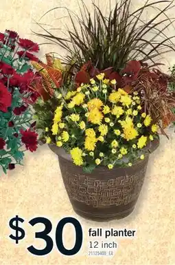Fortinos FALL PLANTER, 12 inch offer