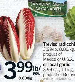 Fortinos TREVISO RADICCHIO OR LOCAL GARLIC offer