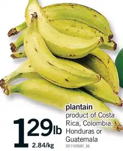 Fortinos PLANTAIN offer