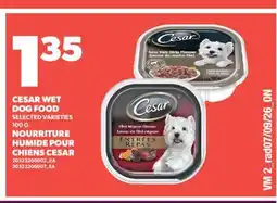 Valu-mart HUMIDE POUR CHIENS CESAR offer