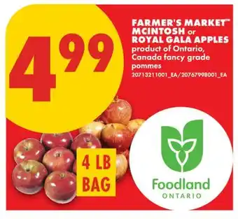 No Frills FARMER'S MARKET MCINTOSH OR ROYAL GALA APPLES, 4 LB BAG offer