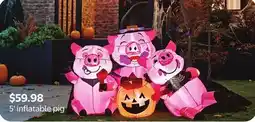 Walmart S' inflatable pig offer