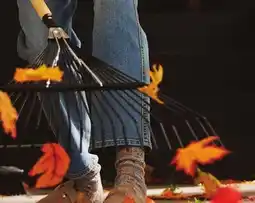 Walmart Expert Gardener 22-tine steel leaf rake offer