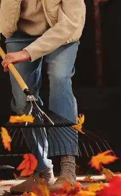 Walmart Râteau Expert Gardener à 22 dents en acier offer
