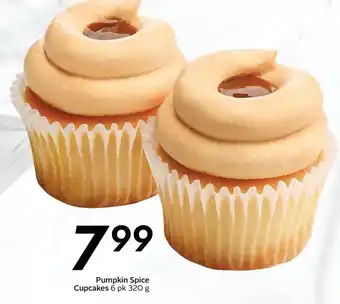 Sobeys Pumpkin Spice Cupcakes offer