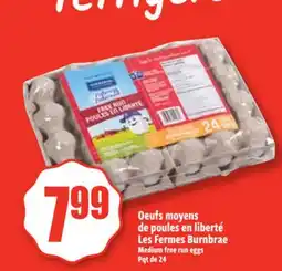 Bonanza Oeufs moyens de poules en liberté Les Fermes Burnbrae offer