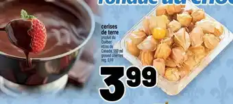 Metro ground cherries offer