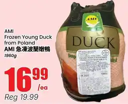 Terra Foodmart Ami frozen young duck offer
