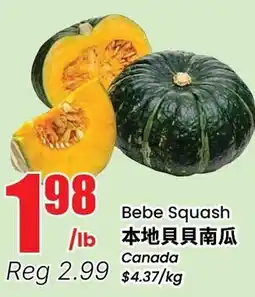 Terra Foodmart Bebe Squash offer
