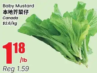 Terra Foodmart Baby Mustard offer