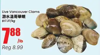 Terra Foodmart Live Vancouver Clams offer