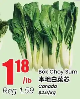 Terra Foodmart Bok Choy Sum offer