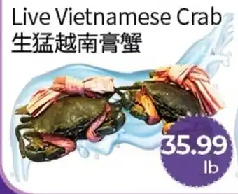 FreshWay Foodmart Live Vietnamese Crab offer