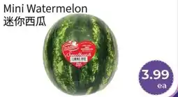 FreshWay Foodmart Mini Watermelon offer