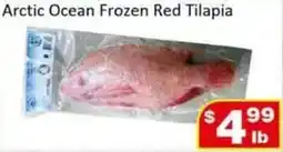 Jian Hing Supermarket Arctic Ocean Frozen Red Tilapia offer