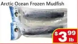Jian Hing Supermarket Arctic Ocean Frozen Mudfish offer