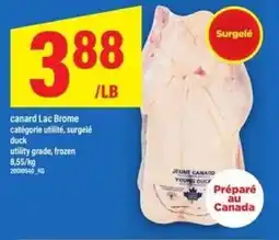 Maxi canard Lac Brome offer