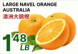 88 Supermarket Large navel orange offer