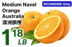 88 Supermarket Medium Navel Orange offer