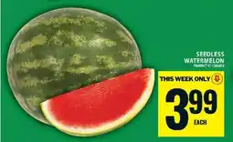 Food Basics Seedless Watermelon offer