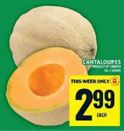 Food Basics Cantaloupes offer